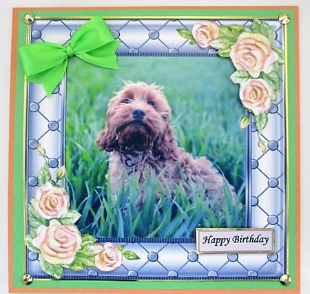COCKERPOO MULTI SENTIMENT 1 by isobel bulloch