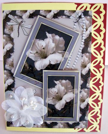 Flowers,pearls & Butterflies by Nancy Boatwright