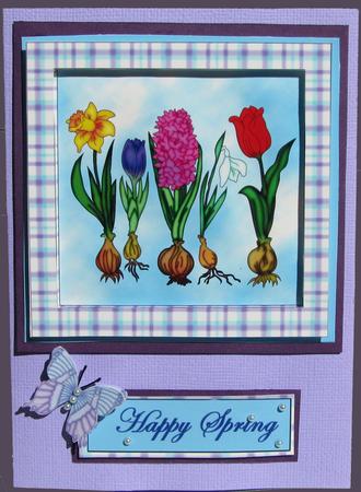 Spring Bulbs & Butterflies - Card Front/topper by Nancy Boatwright