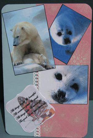 Artic Blue by Nancy Boatwright
