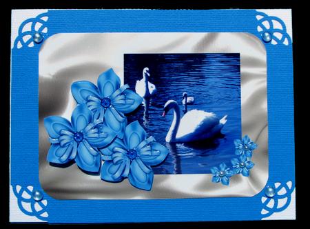 Swan Lake by Nancy Boatwright