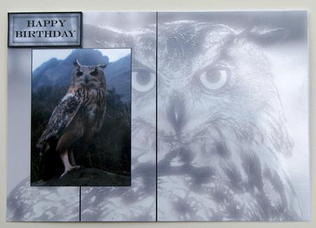 Eagle Owl Fold Back Sheet by Nancy Boatwright