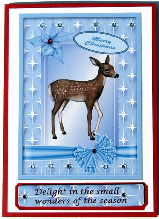 Little Reindeer in Star Frame A4 by Nancy Boatwright