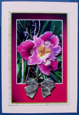 For a Dear Friend Beautiful Iris by Nancy Boatwright