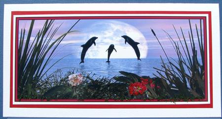 Dancing Dolphins Dl a Card in One by Nancy Boatwright