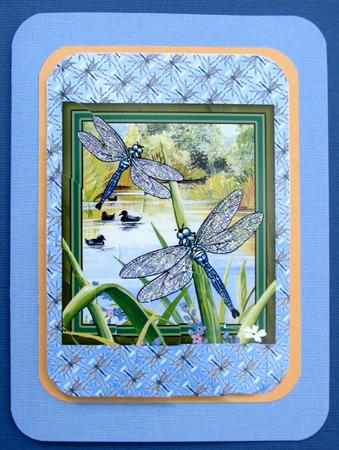 Dragonfly Days Wtf 7 by 5 Card Front Wavy by Nancy Boatwright