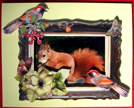 Red Squirrel by Nancy Boatwright