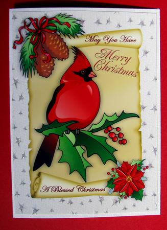 Red Robin with Cones on a Scroll A4 by Nancy Boatwright