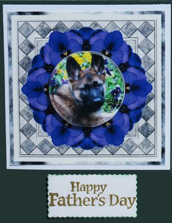 Schaefer Puppy and Pansies by Nancy Boatwright
