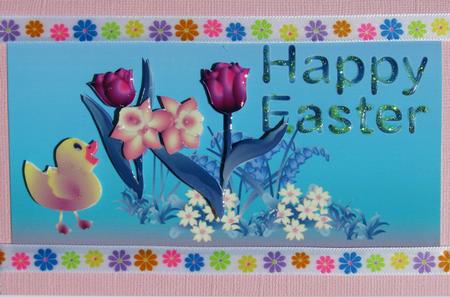 Duckling Dl Card Front by Nancy Boatwright