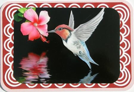 Hummingbird and Pink Flower Card Front by Nancy Boatwright