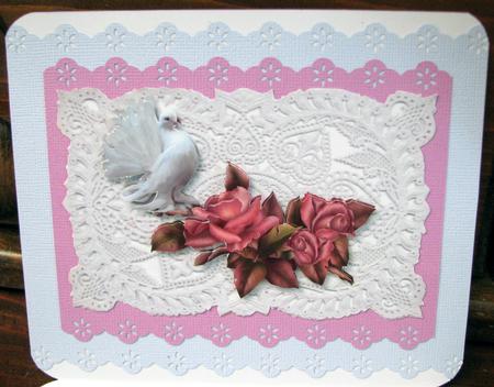 Beautiful Dove Sitting Perched on Roses with Stunning Background Ecru Lace by Nancy Boatwright