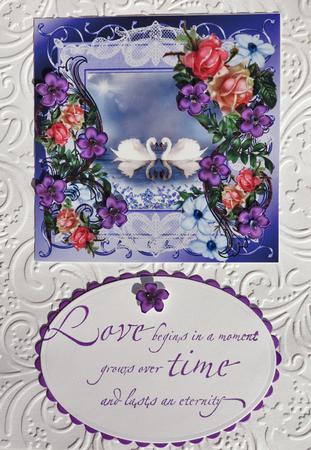Valentines Day Love Swans by Nancy Boatwright