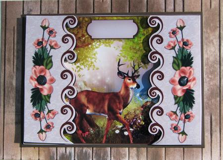 Bordered Woodlands by Nancy Boatwright