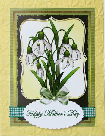 Beautiful Spring Snowdrops by Nancy Boatwright