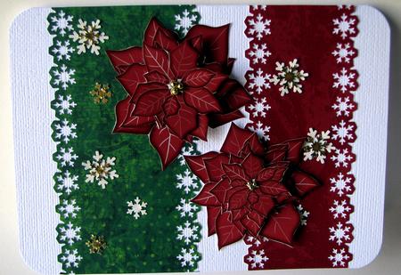 Poinsettia Graduated in Size for All Your Christmas Cards by Nancy Boatwright