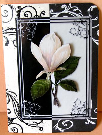 Magnolia Quick Card by Nancy Boatwright
