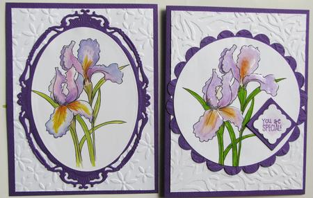 Digital Stamp Irises with Coloured Version Too by Nancy Boatwright