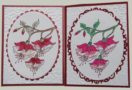 Digital Stamp Fuschia with Coloured Version Too by Nancy Boatwright