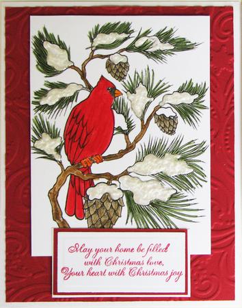 Bird on a Fir Tree Branch, Digital Stamp by Nancy Boatwright