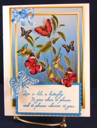 Lovely Butterflys in Flight by Nancy Boatwright