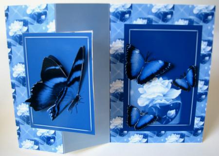 Butterflies and Rose Foldback Card by Nancy Boatwright