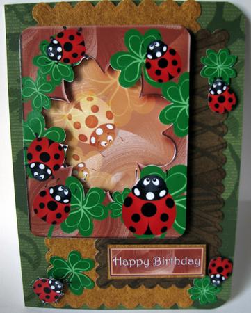 Clovers and Ladybugs Around a Wood Frame by Nancy Boatwright