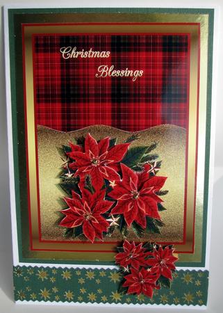 Poinsettia's on Gold with Stars by Nancy Boatwright