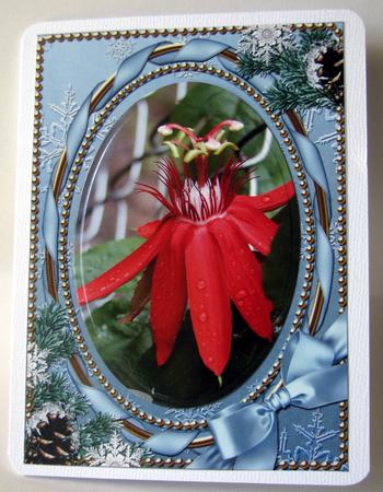 Singing Snow Couple Plain 7x5inch Folded Card by Nancy Boatwright