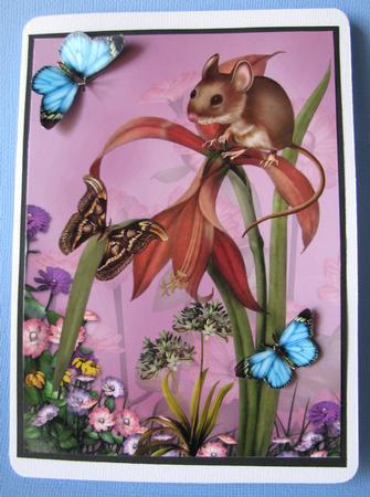 Harvest Mouse by Nancy Boatwright