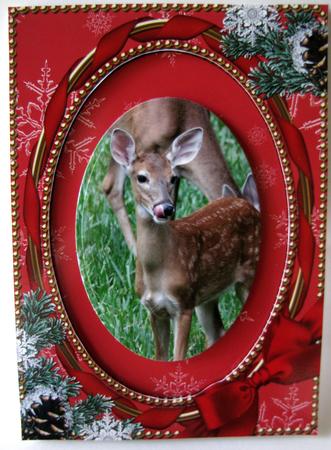 Christmas Red Snow Ornate 7x5inch Card Front and Frame by Nancy Boatwright
