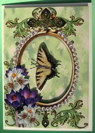 Spring Flowers Oval Frames for Cards & Scrapbooking by Nancy Boatwright