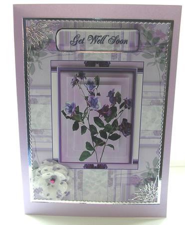 Roses Featured Gallery Photo