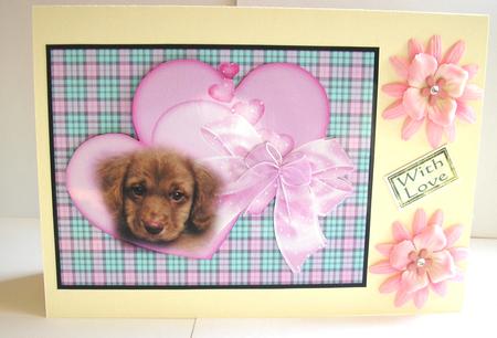 So Cute by Nancy Robinson