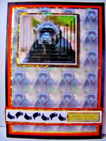 Chimpanzee Portrait Pyramid with Background by Natasha Lowe