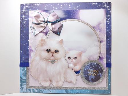 Cute and Fluffy Featured Gallery Photo