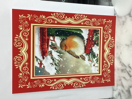 Lovely Robin in the snow A4 by Michelle Wesley