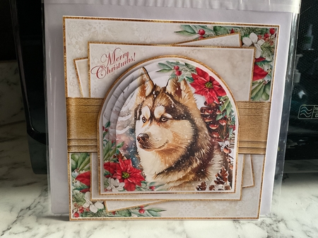 Arched Window Husky 7x7 inch by Michelle Wesley