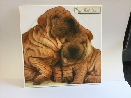Furry Friends & Familiars - Puppies - Shar Pei Pyramid +tag+ by Michelle Wesley