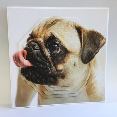 Furry Friends & Familiars - Dogs - Pug That Looks Yum! +tag+ by Michelle Wesley