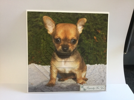 Furry Friends & Familiars - Puppies - Chihuahua 2 Pyrimage + by Michelle Wesley