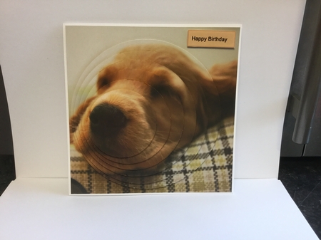 Furry Friends & Familiars - Dog - Cocker Spaniel Comfort + by Michelle Wesley