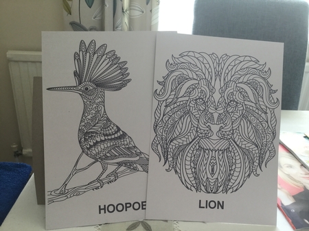 African Animals Zentangle / Colouring Pages by Michelle Wesley