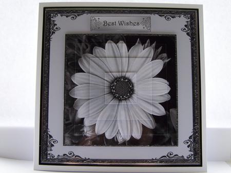 Floral Monochrome 5 by Michelle Wesley