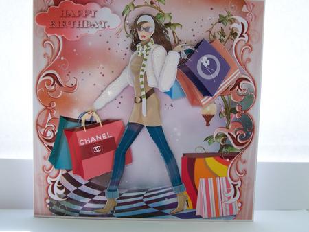 Fashionista! Shopping Spree Mini Kit by Michelle Wesley
