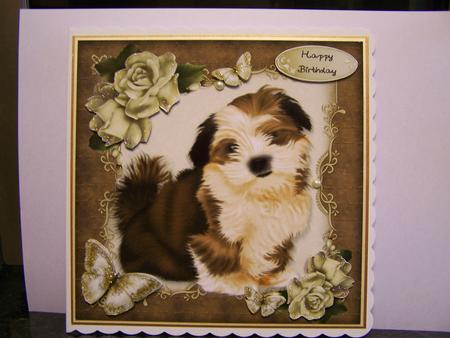 Gorgeous Fluffy Shitzu with Roses 8x8 Mini Kit by Michelle Wesley