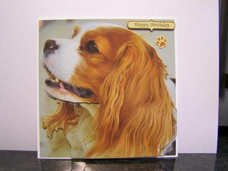 Furry Friends & Familiars - Dogs - King Charles Spaniel Tag+ by Michelle Wesley