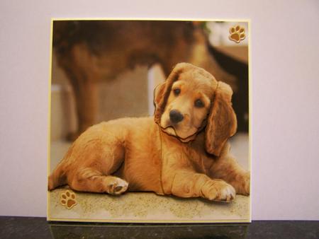 Furry Friends & Familiars - Puppies - Cocker Spaniel + Tag + by Michelle Wesley