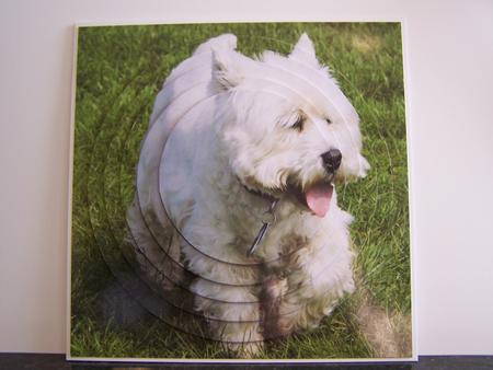 Furry Friends & Familiars - Dog - West Highland Terrier Tag+ by Michelle Wesley