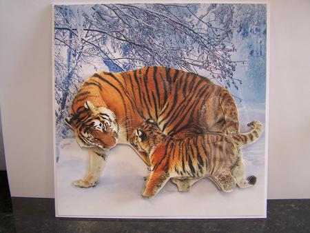 Because We Love Furries - Gorgeous Tigers in the Snow 7+tag+ by Michelle Wesley